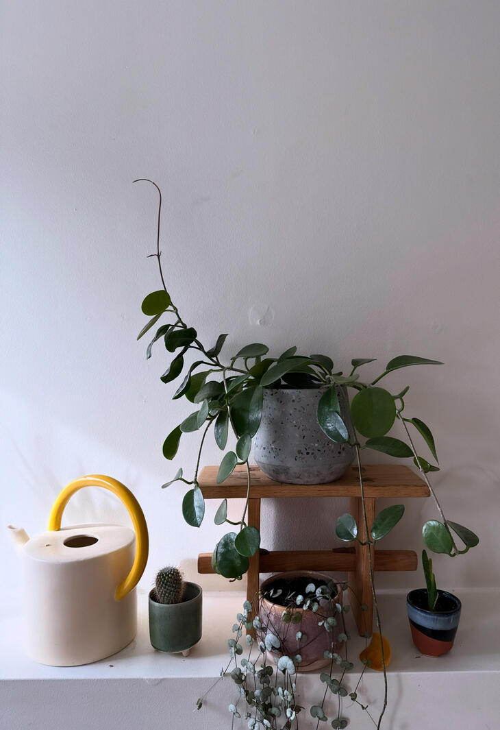 Torii Plant Stand. Made from White Oak and Shedua